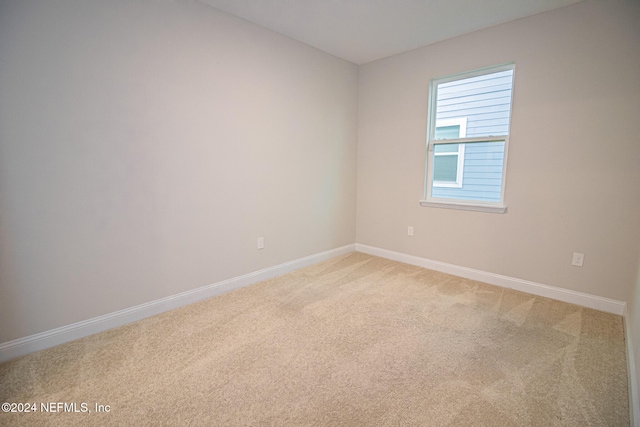 spare room with carpet