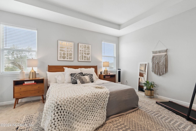 bedroom featuring carpet