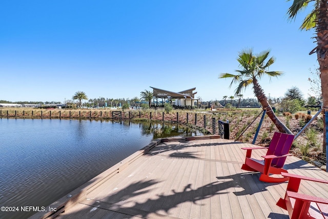 dock area with a water view