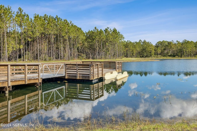 dock area with a water view