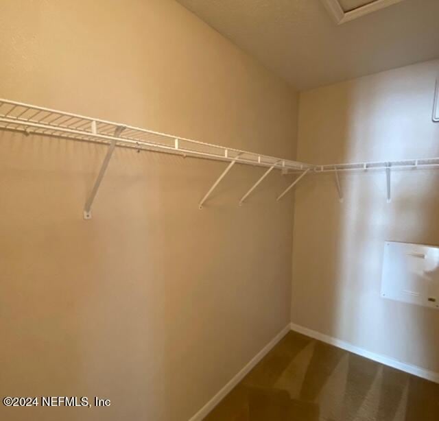 spacious closet featuring carpet flooring