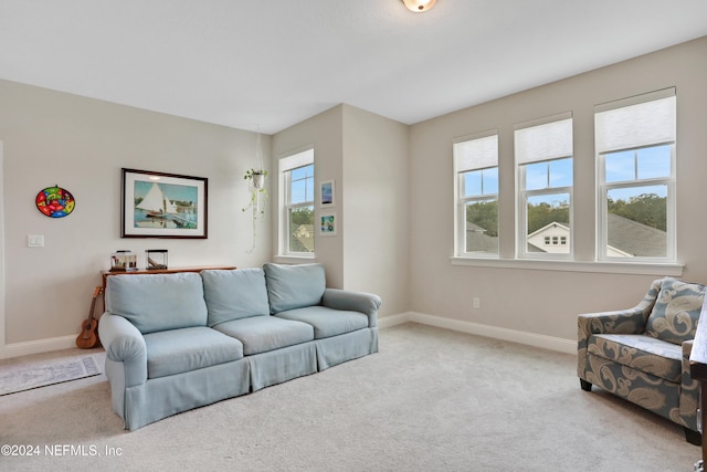 living room featuring light colored carpet