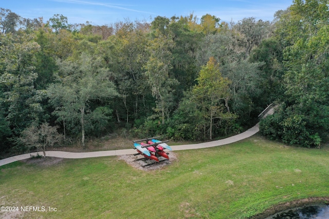 520 Back Creek Dr, Saint Augustine, FL 32092 - view of green lawn with a wooded view