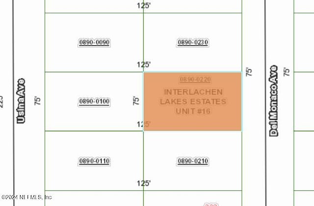 0220 Del Monaco Ave, Interlachen FL, 32148 land for sale