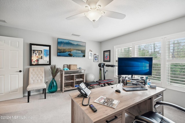 carpeted office with ceiling fan and a textured ceiling