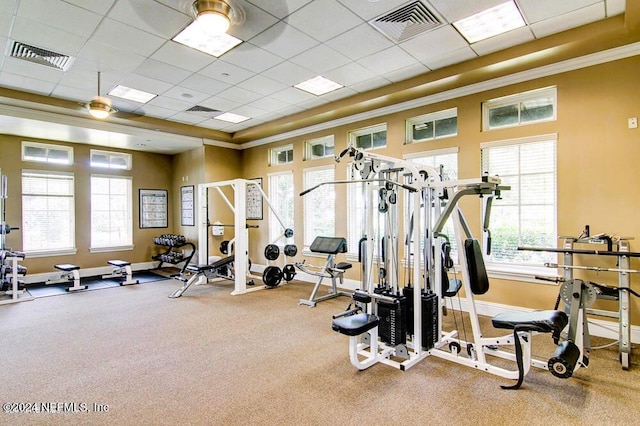 workout area featuring carpet floors, a drop ceiling, and ornamental molding