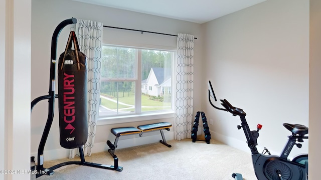 exercise area with carpet flooring