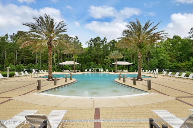 view of swimming pool featuring a patio area