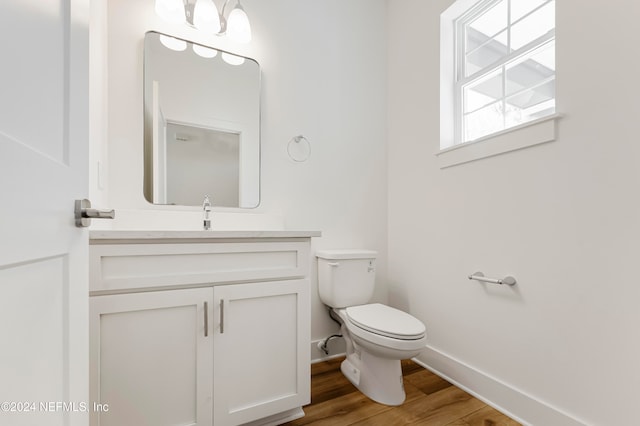 bathroom featuring vanity, toilet, and wood-type flooring