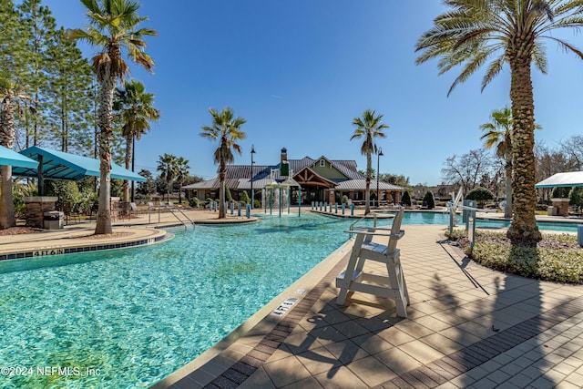 view of swimming pool featuring a patio