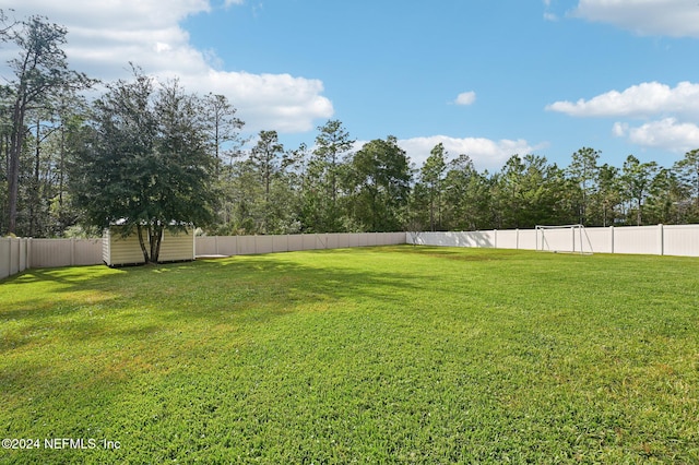 view of yard with a storage unit