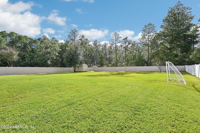 view of yard featuring a storage shed