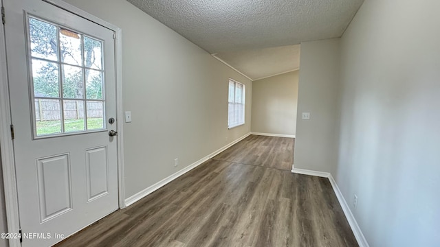 entryway featuring vaulted ceiling, a healthy amount of sunlight, dark wood-type flooring, and a textured ceiling