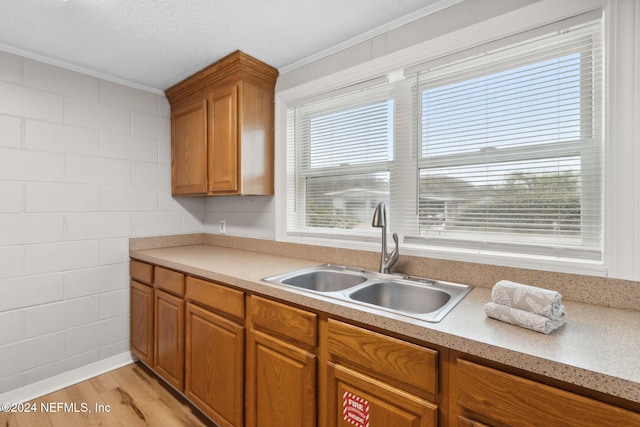 kitchen featuring light hardwood / wood-style floors, sink, and crown molding