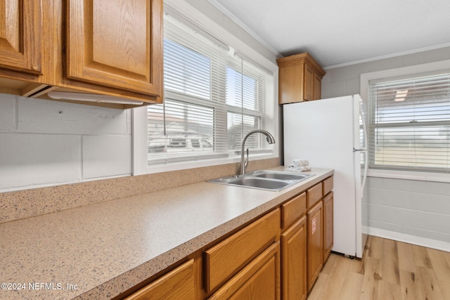 kitchen featuring light hardwood / wood-style floors, white fridge, sink, and ornamental molding