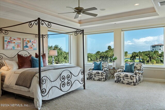 carpeted bedroom with multiple windows, ceiling fan, and a tray ceiling