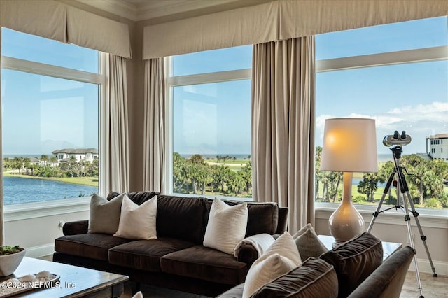 living room featuring a water view and plenty of natural light