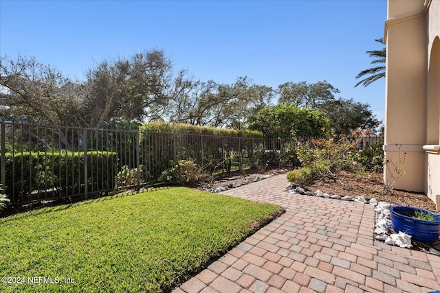 view of yard featuring a patio area