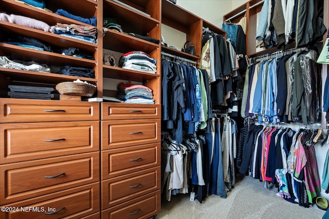 spacious closet featuring light carpet