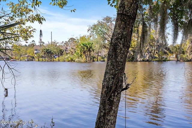 water view