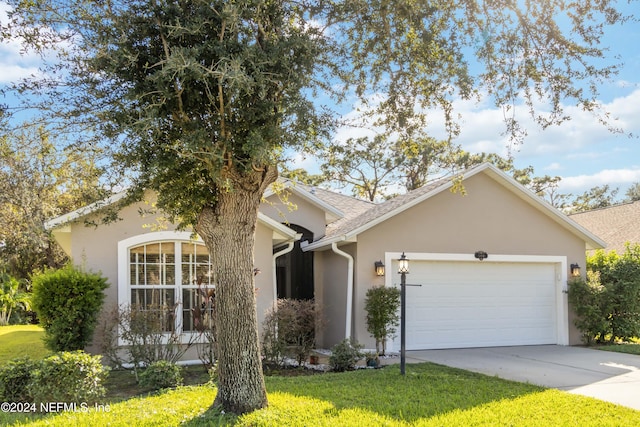 single story home featuring stucco siding, an attached garage, driveway, and a front lawn