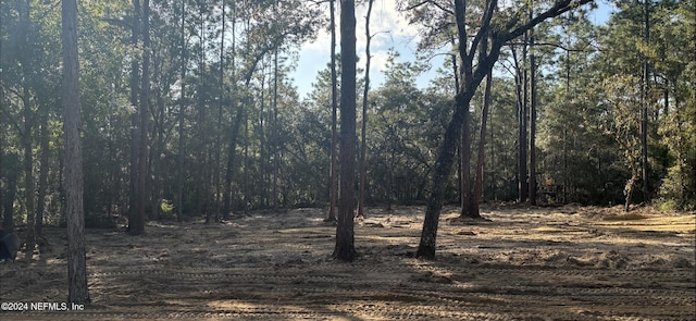 409 Edgehill Rd, Satsuma, FL 32189