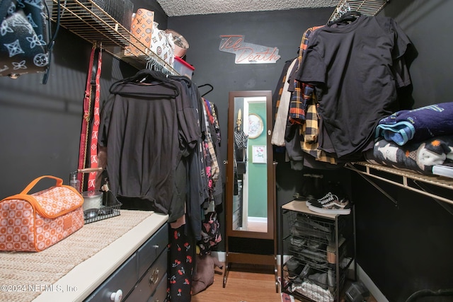 spacious closet featuring light hardwood / wood-style flooring