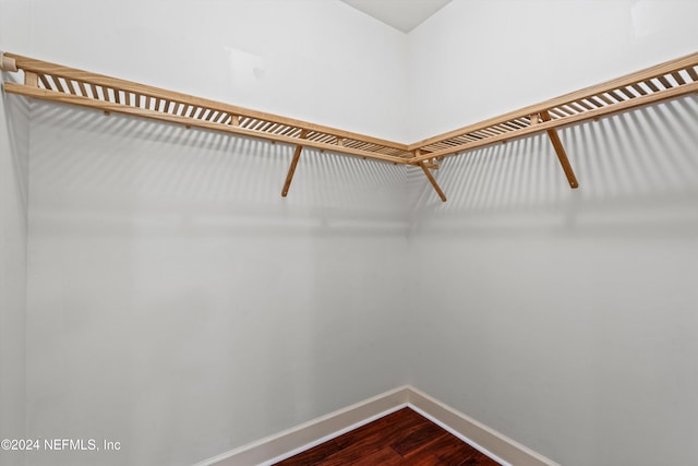 spacious closet featuring hardwood / wood-style flooring