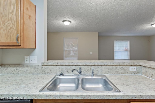 kitchen featuring a textured ceiling and sink