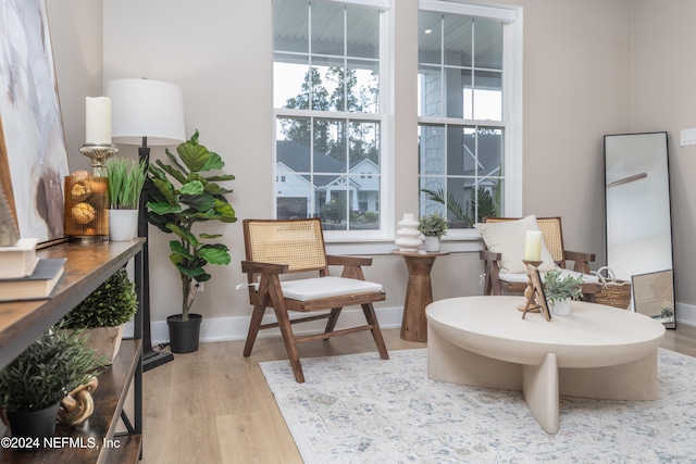 living area featuring light hardwood / wood-style floors and a wealth of natural light