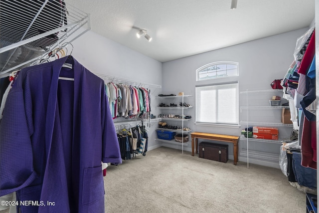 spacious closet featuring carpet floors