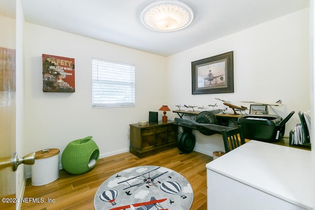 interior space featuring wood-type flooring