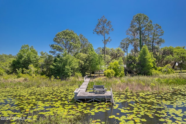 view of yard featuring a dock