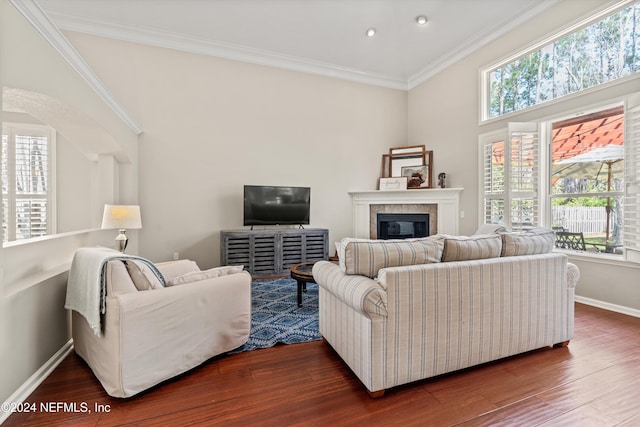 living room featuring a tiled fireplace, a high ceiling, dark hardwood / wood-style floors, and ornamental molding