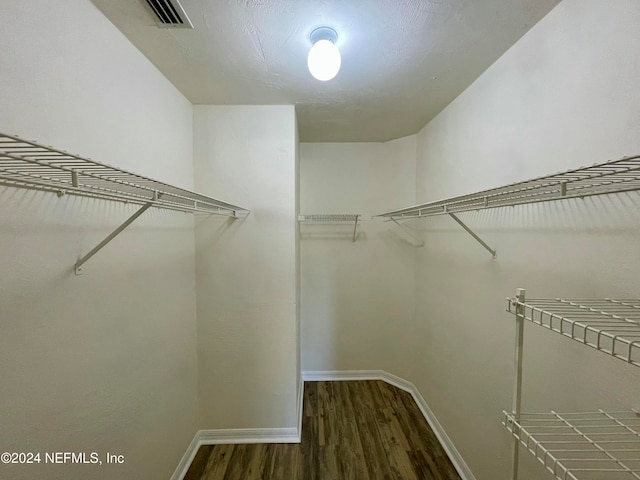 spacious closet featuring dark wood-type flooring