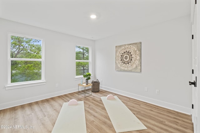 living area featuring light hardwood / wood-style floors