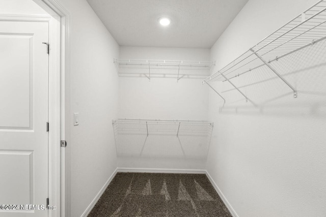 walk in closet featuring dark carpet