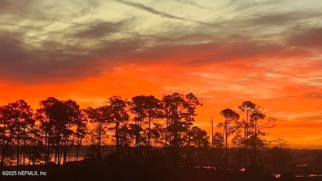 view of nature at dusk