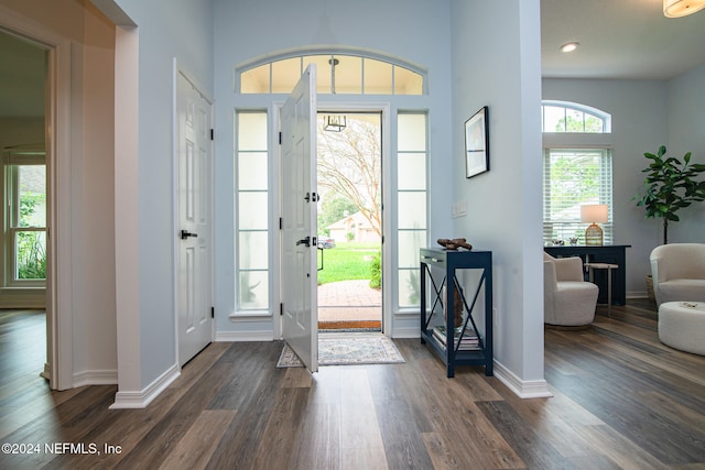 entrance foyer with dark wood-type flooring and a wealth of natural light