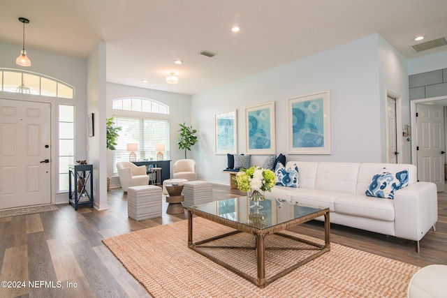 living room with hardwood / wood-style flooring and a healthy amount of sunlight