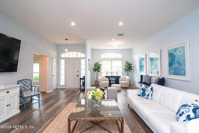 living room with dark hardwood / wood-style floors