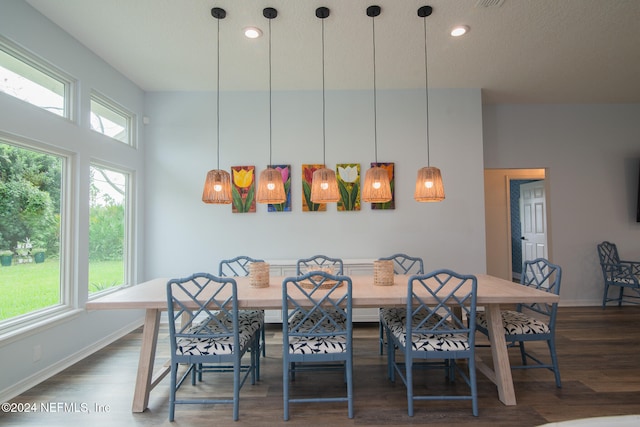 dining room with dark hardwood / wood-style flooring and a healthy amount of sunlight