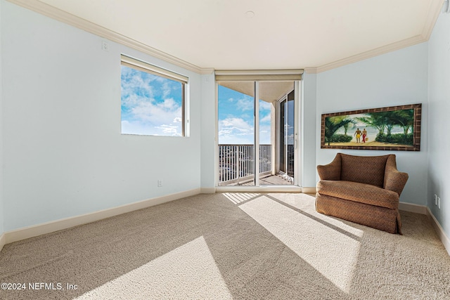 living area with carpet floors and crown molding