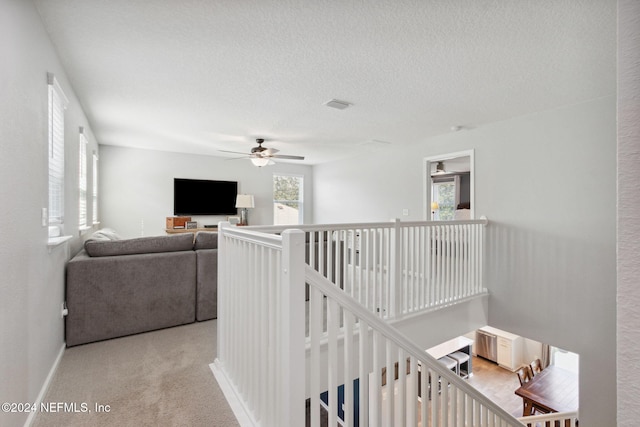 hall featuring light carpet and a textured ceiling