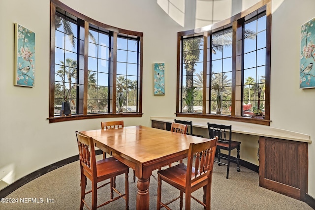 carpeted dining space with a healthy amount of sunlight