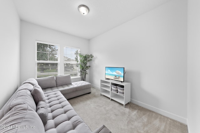 living room with light carpet