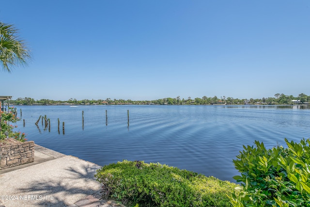 water view featuring a boat dock