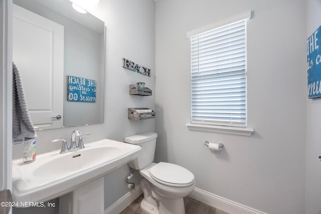 bathroom featuring hardwood / wood-style floors, toilet, and sink