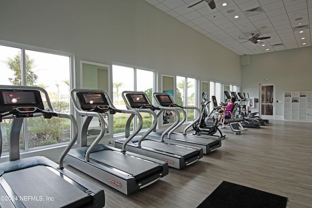 workout area featuring ceiling fan, a drop ceiling, a towering ceiling, and a wealth of natural light