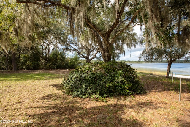 view of yard with a water view